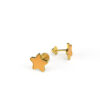 Twinkle Star Earrings